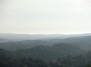 Miškai (Forests)
