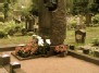 Grave of Boris Dekanidze