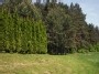 Pamiškė