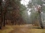 Rainy day...