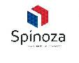 Spinoza